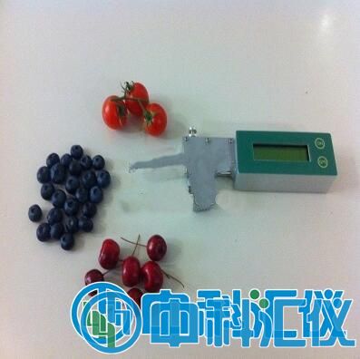 水果硬度计Fruit Firm Meter   1.jpg