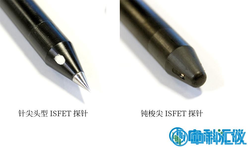 1768287552566646.jpg 2.jpg