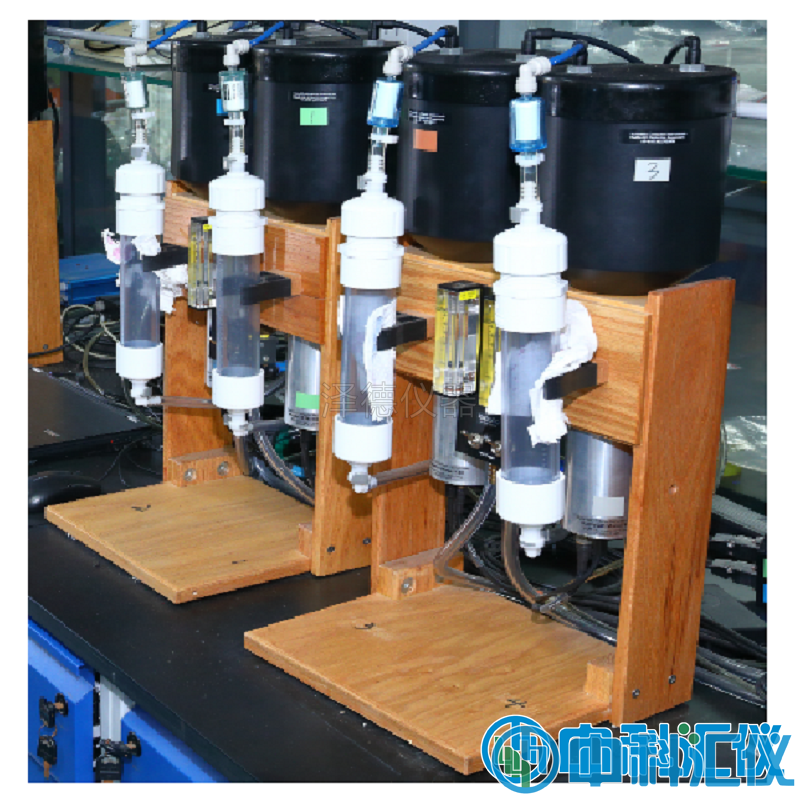 1768793125572908.jpg 1 (2).jpg